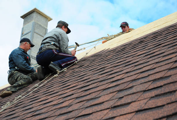 Quick and Trustworthy Emergency Roof Repair Services in Hyde Park, PA
